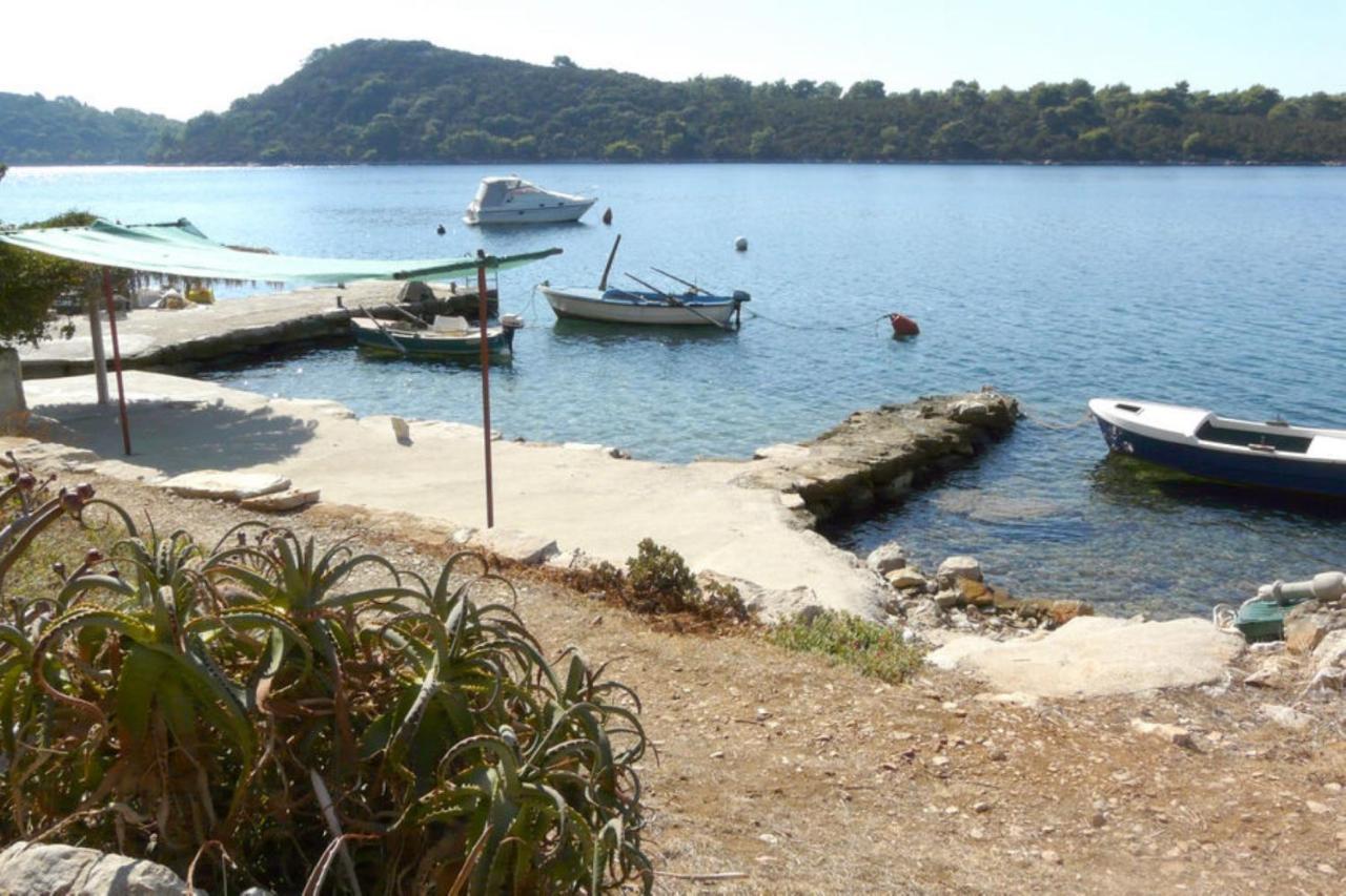 A1 - Apt Near Beach With Terrace And The Sea View Blato  Dış mekan fotoğraf